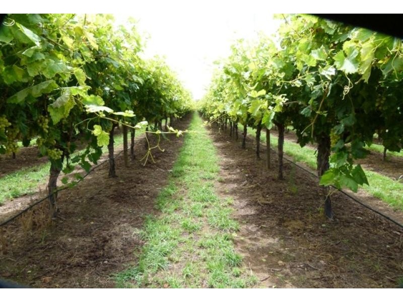 157 Whytes Road, St George QLD 4487