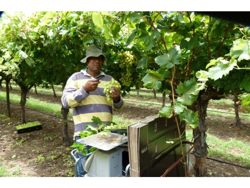 157 Whytes Road, St George QLD 4487