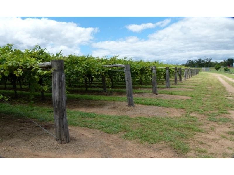 157 Whytes Road, St George QLD 4487