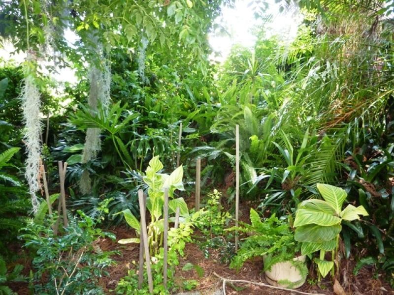 14 Calamia Rd, Kyogle NSW 2474