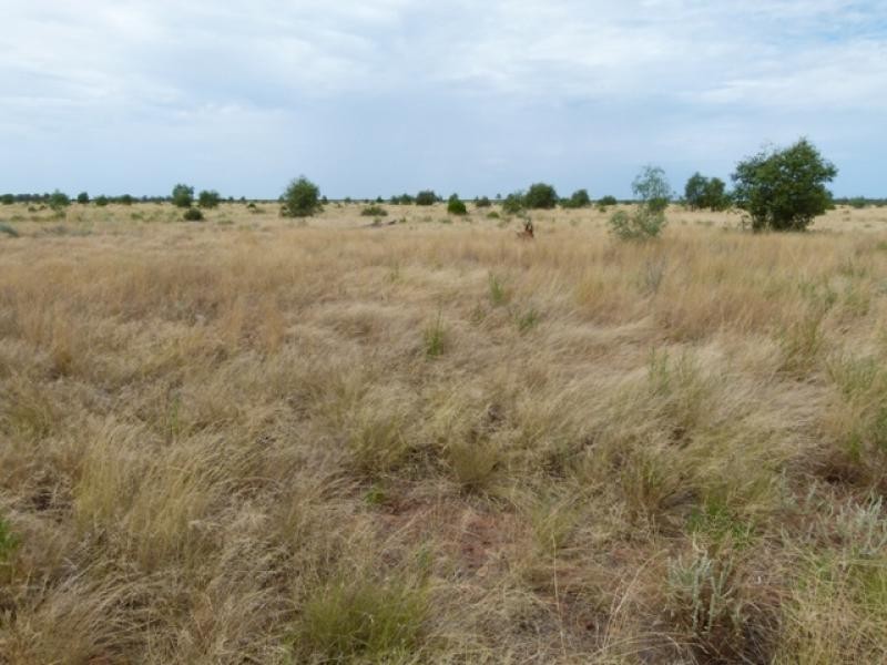 5040 Humeburn Road, Cunnamulla QLD 4490