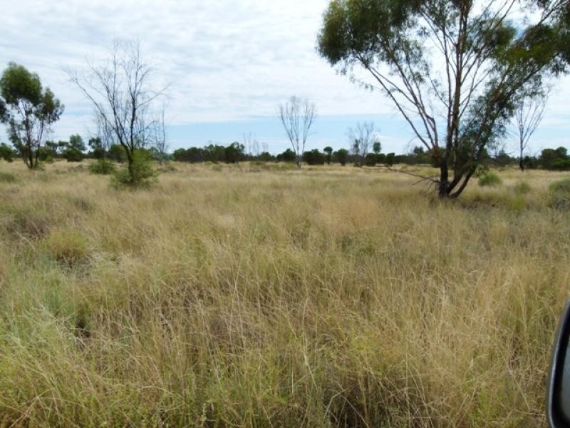 5040 Humeburn Road, Cunnamulla QLD 4490