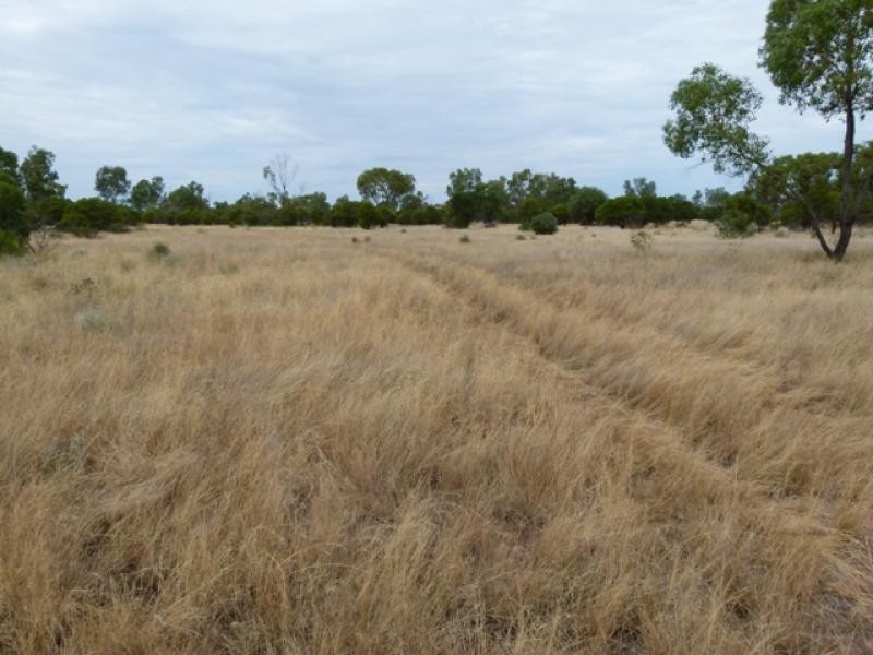 5040 Humeburn Road, Cunnamulla QLD 4490