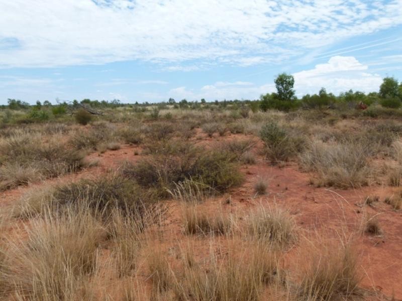 5040 Humeburn Road, Cunnamulla QLD 4490