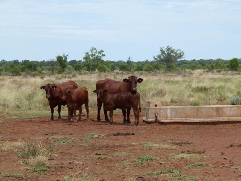 5040 Humeburn Road, Cunnamulla QLD 4490