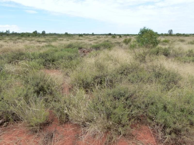 5040 Humeburn Road, Cunnamulla QLD 4490