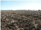 ATHLONE, 2426 ACRES IN 4 MAIN FREEHOLD PORTIONS, Jandowae QLD 4410