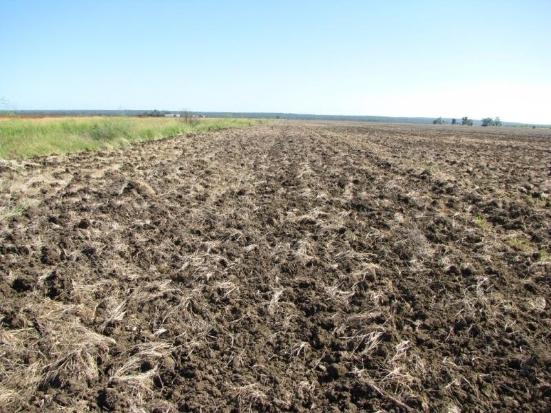 ATHLONE, 2426 ACRES IN 4 MAIN FREEHOLD PORTIONS, Jandowae QLD 4410