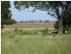 ATHLONE, 2426 ACRES IN 4 MAIN FREEHOLD PORTIONS, Jandowae QLD 4410