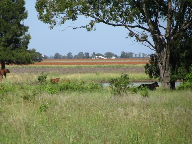 ATHLONE, 2426 ACRES IN 4 MAIN FREEHOLD PORTIONS, Jandowae QLD 4410