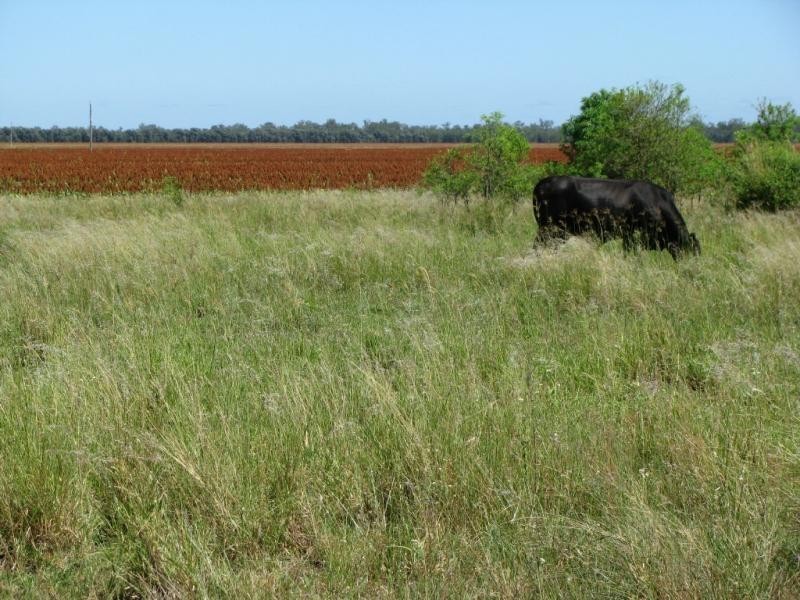 ATHLONE, 2426 ACRES IN 4 MAIN FREEHOLD PORTIONS, Jandowae QLD 4410