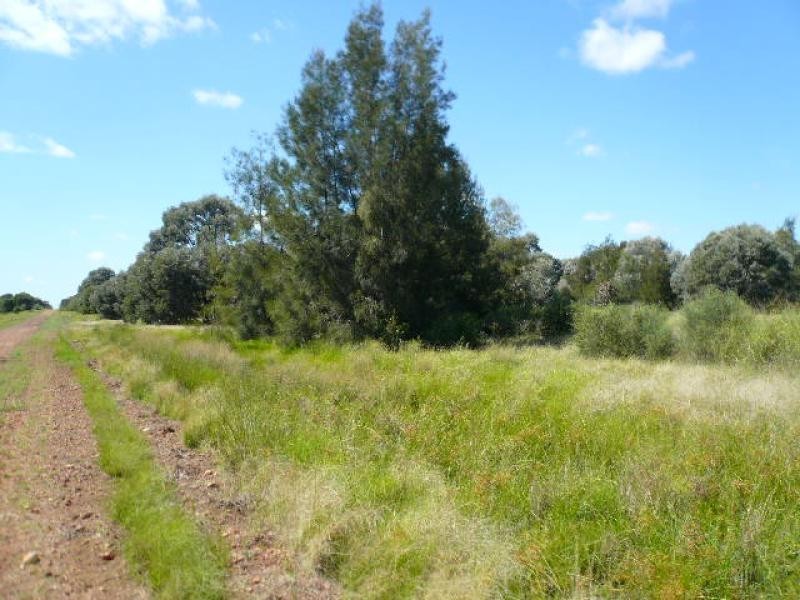 Lot 53/ KYTES ROAD, Tara QLD 4421