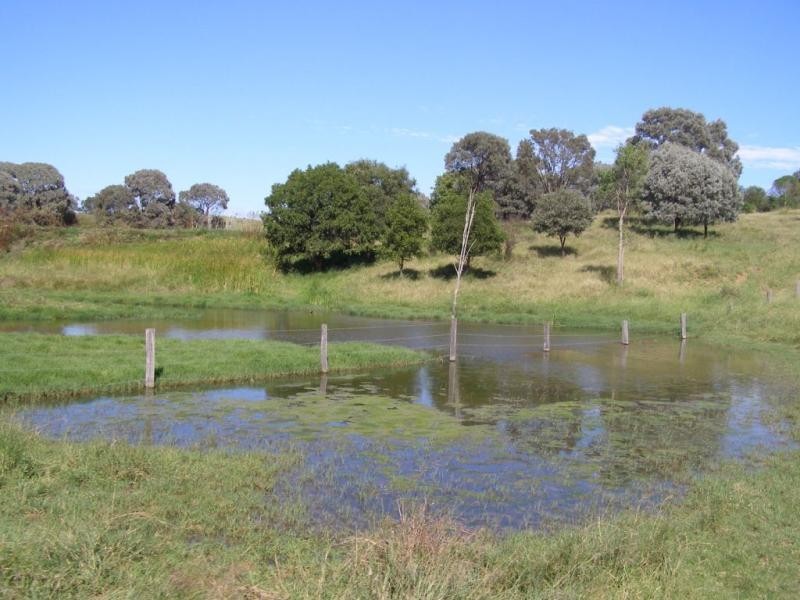 Comely/Mapala Aggregation, 681 Mapala Road, Bauhinia QLD 4718
