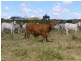 Comely/Mapala Aggregation, 681 Mapala Road, Bauhinia QLD 4718