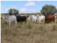 Comely/Mapala Aggregation, 681 Mapala Road, Bauhinia QLD 4718