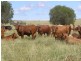Comely/Mapala Aggregation, 681 Mapala Road, Bauhinia QLD 4718