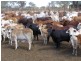 Comely/Mapala Aggregation, 681 Mapala Road, Bauhinia QLD 4718