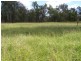 Comely/Mapala Aggregation, 681 Mapala Road, Bauhinia QLD 4718