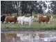 Comely/Mapala Aggregation, 681 Mapala Road, Bauhinia QLD 4718