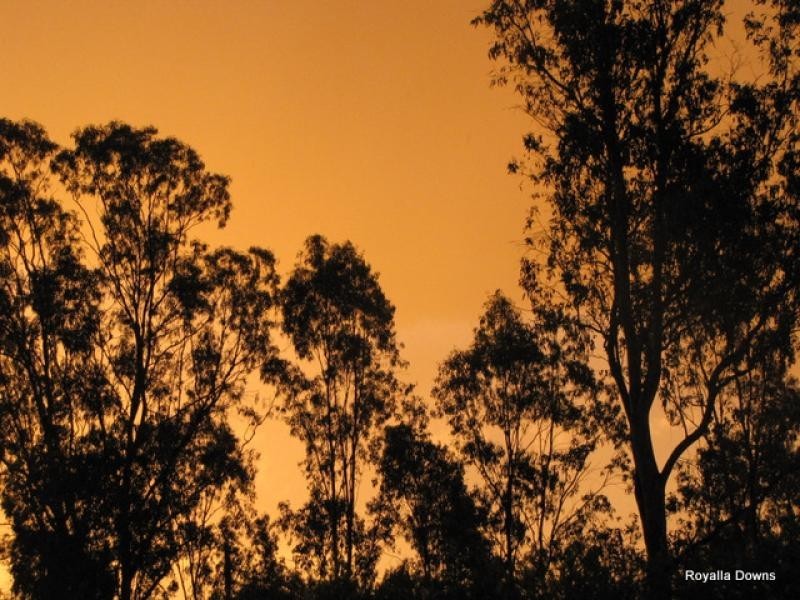 216 KOFOEDS ROAD, Tara QLD 4421