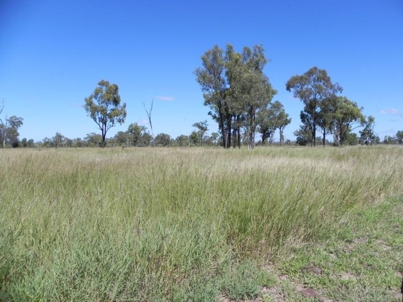 Shady Acres, 393 River Road, Moura QLD 4718