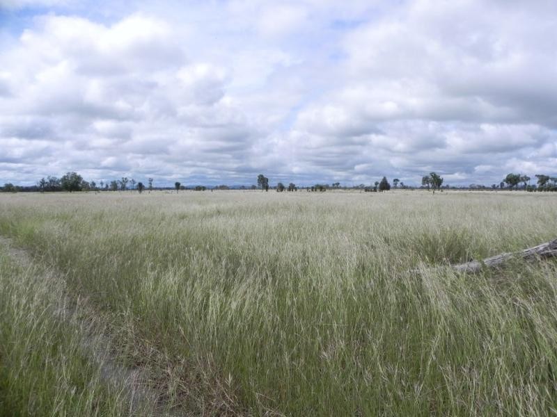 Shady Acres, 393 River Road, Moura QLD 4718