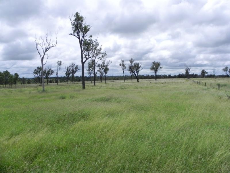 Shady Acres, 393 River Road, Moura QLD 4718