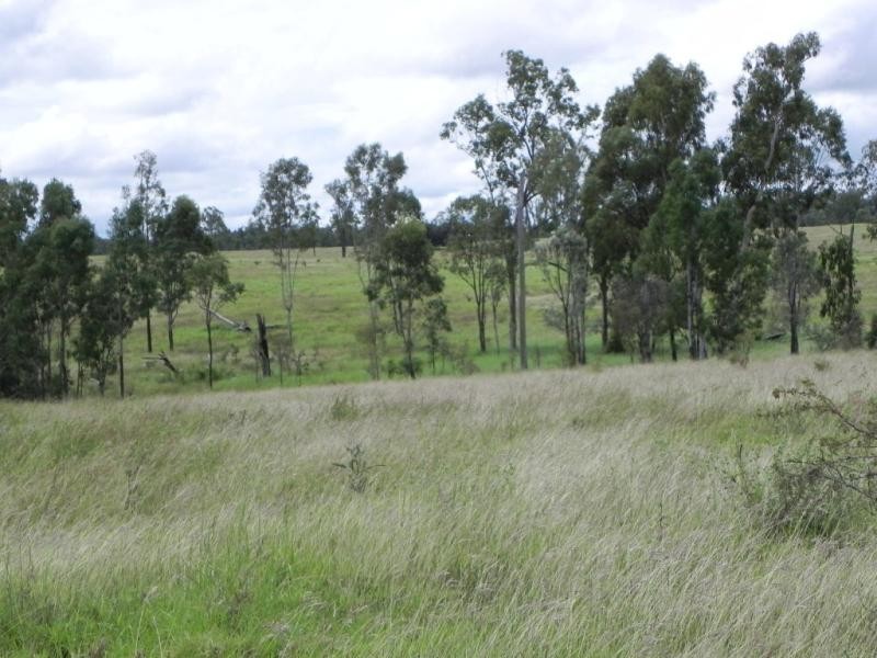 Shady Acres, 393 River Road, Moura QLD 4718