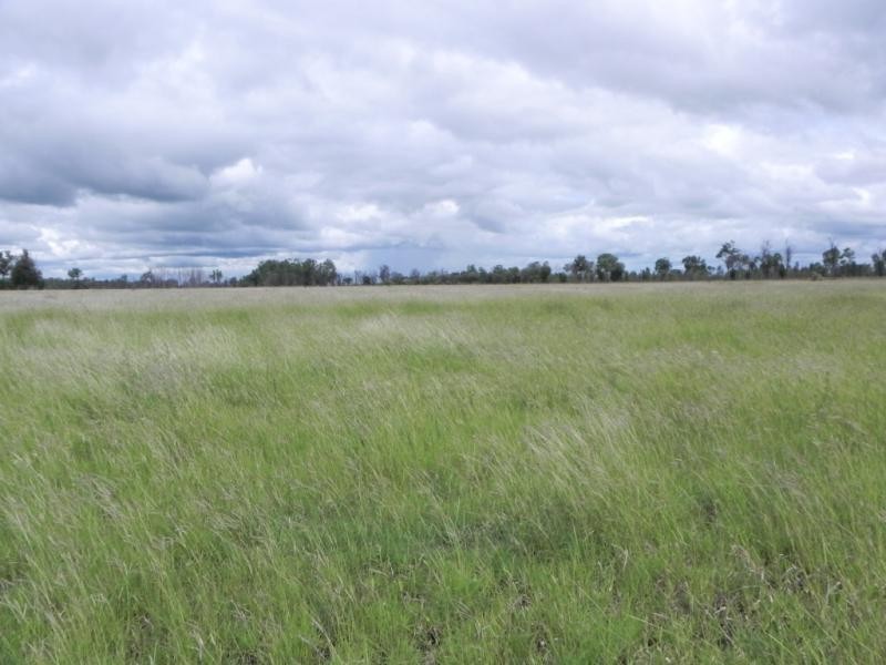 Shady Acres, 393 River Road, Moura QLD 4718