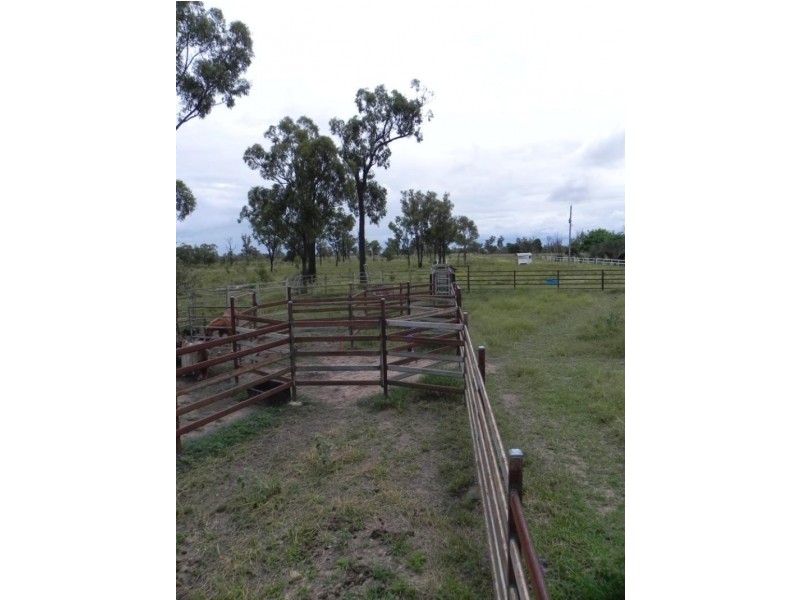 Shady Acres, 393 River Road, Moura QLD 4718