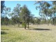 231 KOOKABURRA DRIVE, Tara QLD 4421