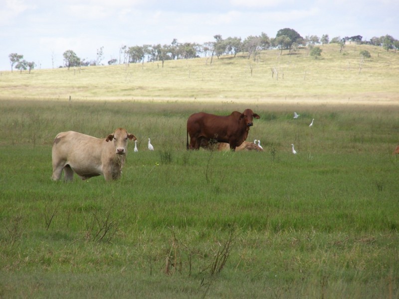 10 Stanage Bay Road, Stanage QLD 4702