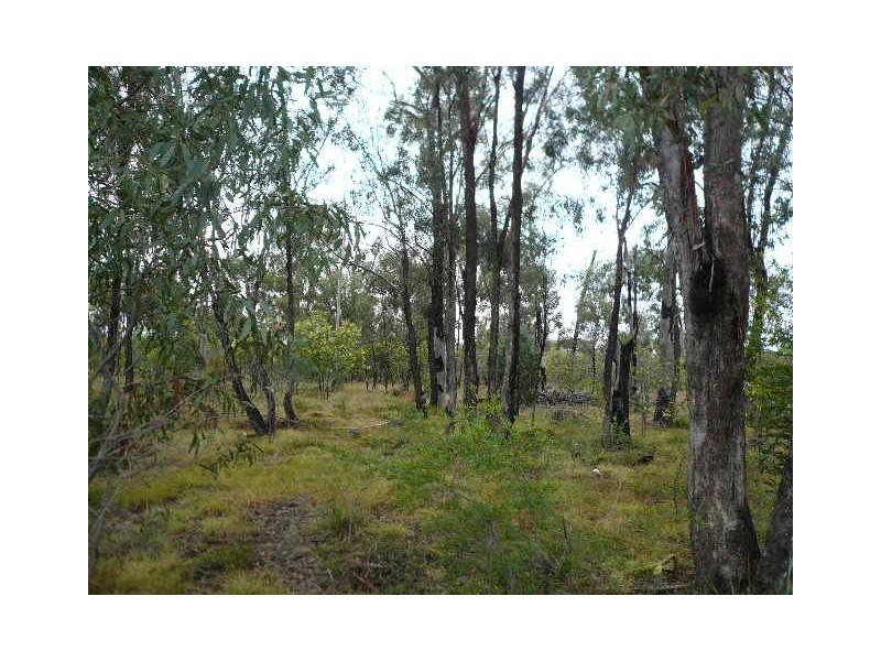 10 TARA-CHINCHILLA ROAD, Tara QLD 4421