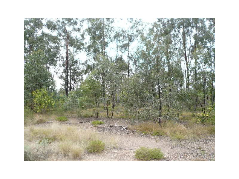 10 TARA-CHINCHILLA ROAD, Tara QLD 4421