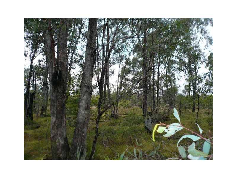 10 TARA-CHINCHILLA ROAD, Tara QLD 4421