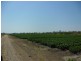 Bowen QLD 4805