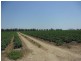 Bowen QLD 4805