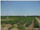 Bowen QLD 4805