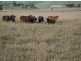 Toogoolawah QLD 4313