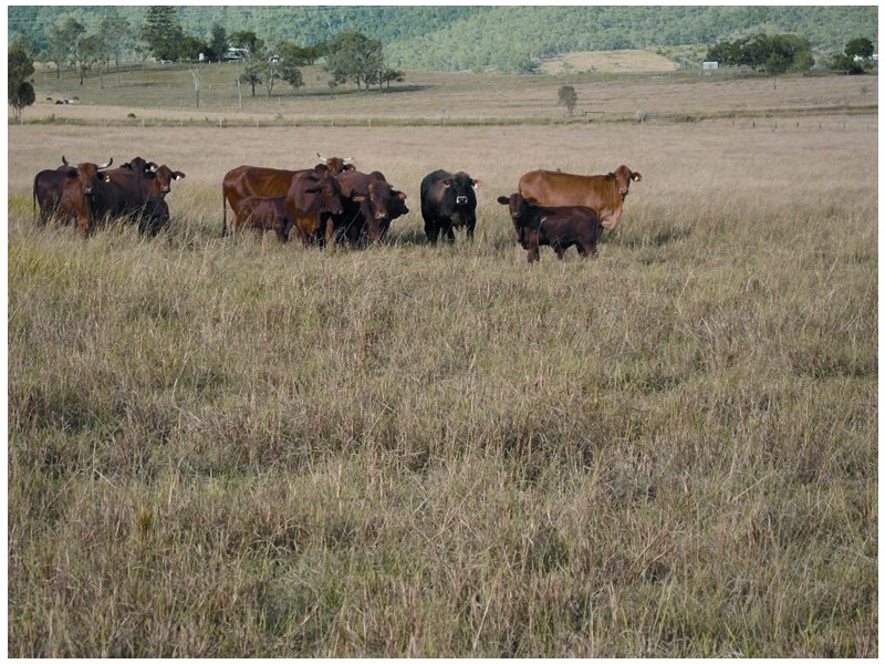 Toogoolawah QLD 4313