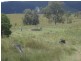 Toogoolawah QLD 4313