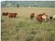 Toogoolawah QLD 4313