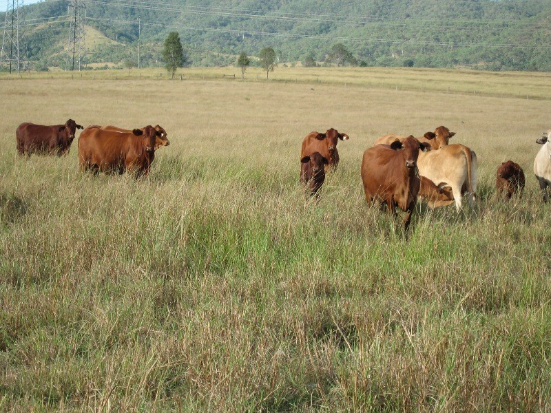 Toogoolawah QLD 4313