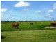 203 JONES ROAD, El Arish QLD 4855