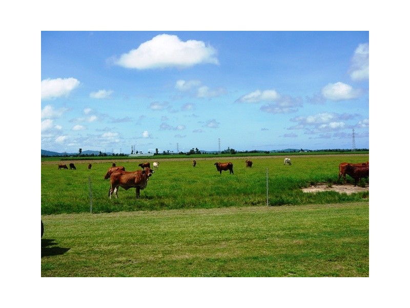 203 JONES ROAD, El Arish QLD 4855