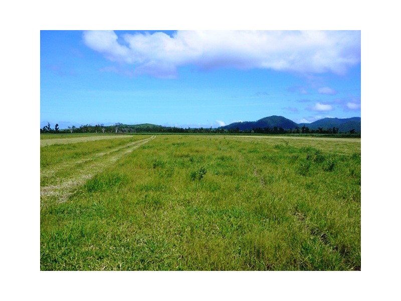 203 JONES ROAD, El Arish QLD 4855