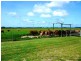 203 JONES ROAD, El Arish QLD 4855