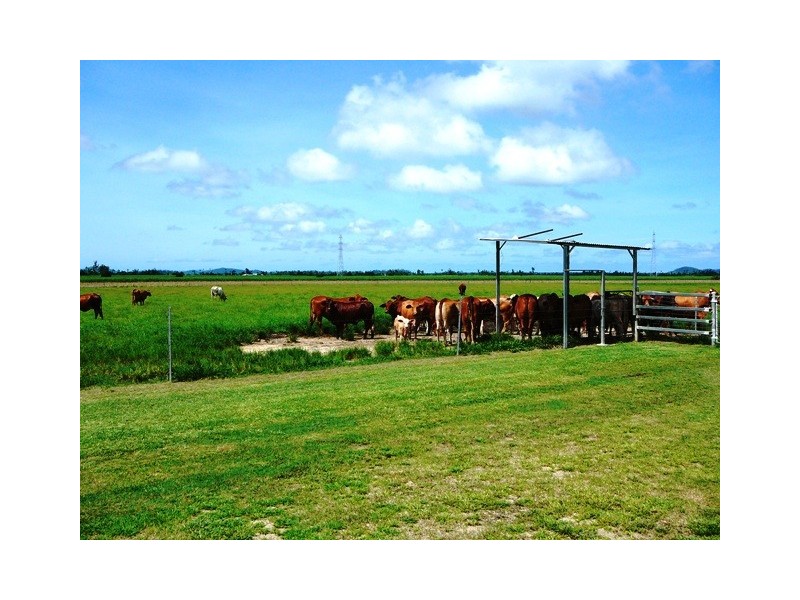 203 JONES ROAD, El Arish QLD 4855