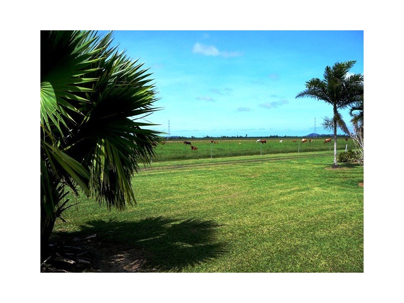 203 JONES ROAD, El Arish QLD 4855