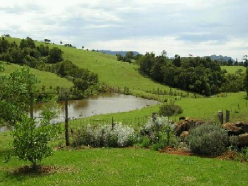 Dorrigo NSW 2453